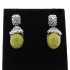 Antique Look Green Resin Fashion Earrings 