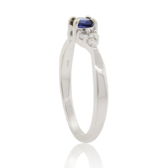 Blue Sapphire and Diamond Ring 14Kt White Gold