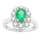 14kt White Gold Emerald and Diamond Halo Engagement Ring